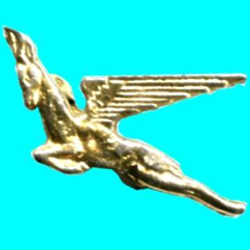 South African Airways Lapel Badge.