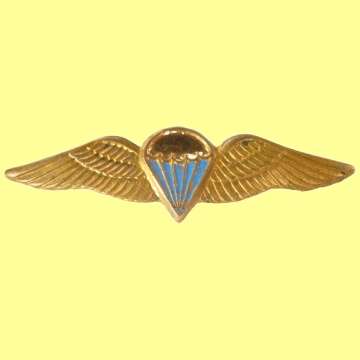 Qualified Para Wings - Early Type.