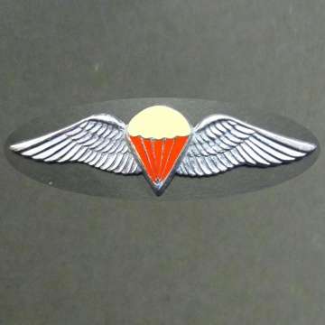 Parachute Free Fall Qualified Wings.