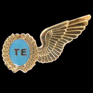 S.A.A.F. Test Engineers Half Wings Mustering Badge.