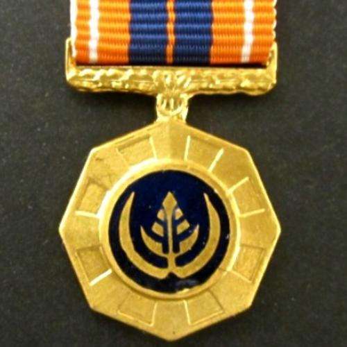 S.A. Pro Patria Medal - Full Size - With Ribbon - No Paperwork - Numbered 351507.