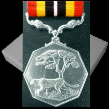 Southern Africa Medal - Full Size - Numbered - With Ribbon  - In Numbered Box.- No Paperwork