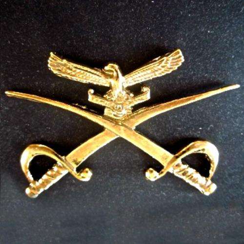 S.A.A.F. P.T.I. Mustering Badge.