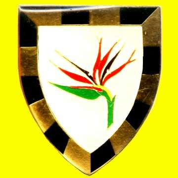 6th S.A.I. Battalion Metal Shoulder Flash.
