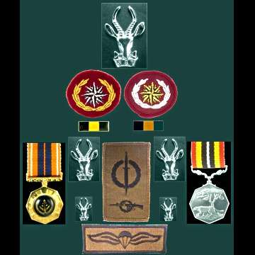 Recce Related Badge and Medal Combination.