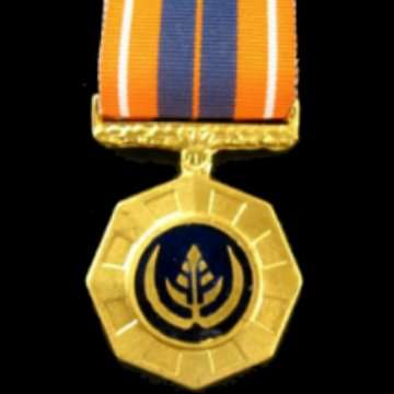 S.A. Pro Patria Medal - Full Size with Ribbon - Numbered.