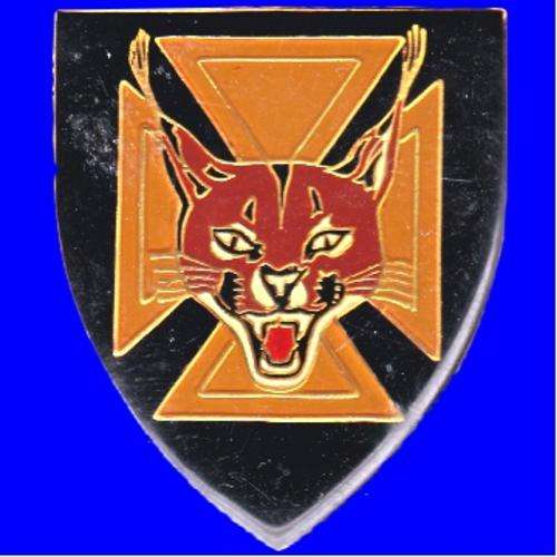 7th. S.A.I. Metal Shoulder Flash.