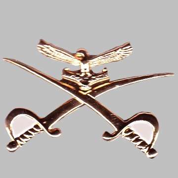 S.A.A.F P.T Instructor Metal Badge.