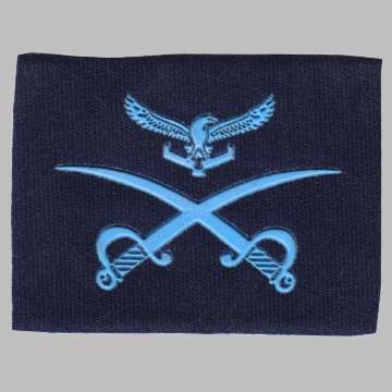 S.A.A.F. P.T. Instructor Rubberized Badge with the Eagle.