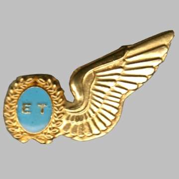 South African Air Force Electronic Technician Half Wings - Messdress.