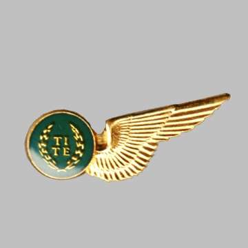 South African Air Force Test Engineer Gold Half  Wings - Messdress.