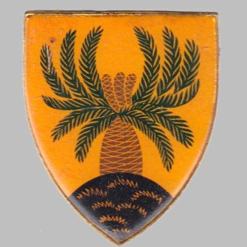 4 S.A. Infantry Battalion Metal Shoulder Flash - All Pins Missing.