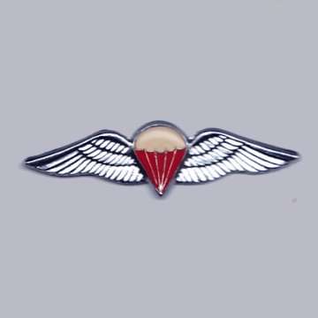 S.A Parachute Freefall - Chromed And Lucite Covered Enameled Mess Dress Wing.