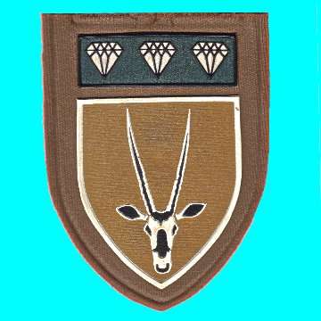 8 S.A Infantry Battalion With Northern Cape Command, Command Bar - Rubberized  (Epaulette Fitting Cu