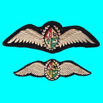 South African Air Force Pilot Wings - Large And Medium Size - Bush War Period.