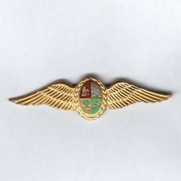 South African Air Force Mess Dress Pilot Wings.