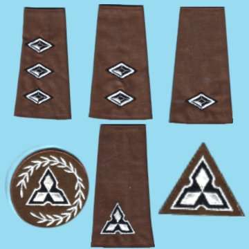 Collection Of S.W.A Territorial Force Rank Insignia.
