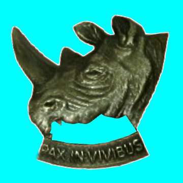 S.W.A.F.T. 101 Battalion Beret Badge.