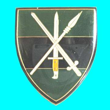 S.A Infantry School  - Last Type - Metal Shoulder Flash - Original - All 3 Pins Intact.