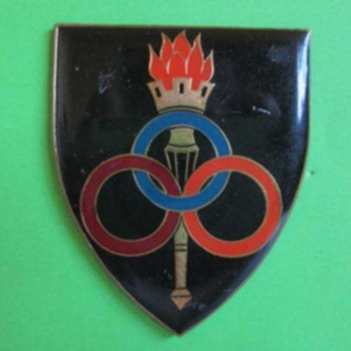 Ordnance Services School Metal Shoulder Flash - All Three Pins Missing.