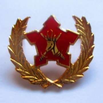 Army Breast Badge For Citizen Force - Commando's And Volunteers - 5 Year Service - Pins Intact.