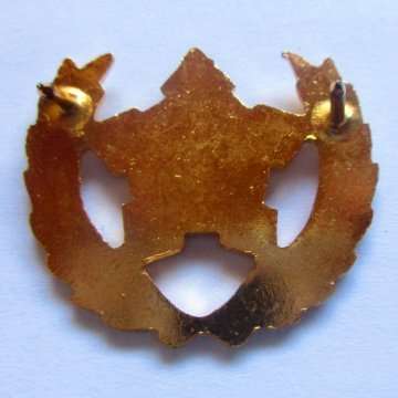 Army Breast Badge For Citizen Force - Commando's And Volunteers - 5 Year Service - Pins Intact.