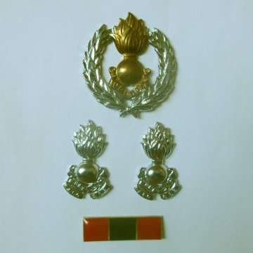 S.A.D.F Engineers Corps Beret And Collar Badges With Beret Balkie - All Pins And Screws Intact.