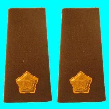 S.A.D.F Major Rubberized Rank Insignia - Pair.