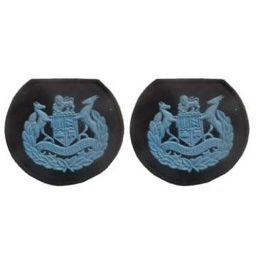S.A.A.F Air Force Warrant Officer Class 1 Rubberized Rank Insignia - Pair.