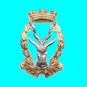 S.W.A.T.F. Regiment Windhoek Beret Badge - Screws Intact.