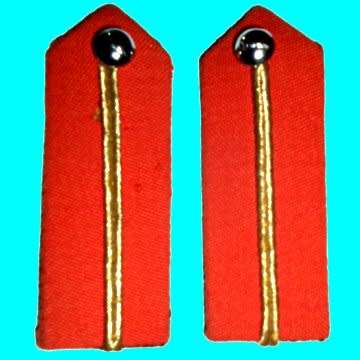 A Pair of S. A. Army Full Colonel's Gorgettes.