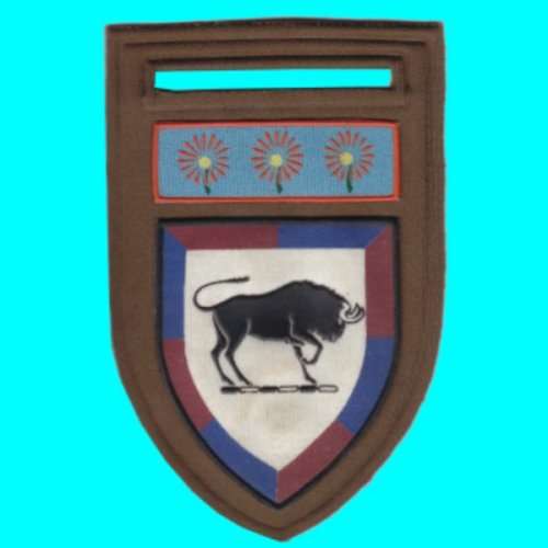 S.A. Army College Rubberised Shoulder Flash -0 Pin Intact.