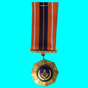 South Africa Mint Mark Pro Patria Full Size Medal - Very Very Scares - See Photo's