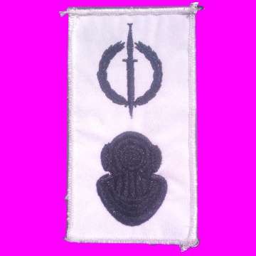 Combined Operator and Combat Swimmer Qualifycation Badge.