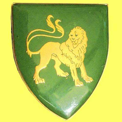 Hillcrest Commando Metal Shoulder Flash.