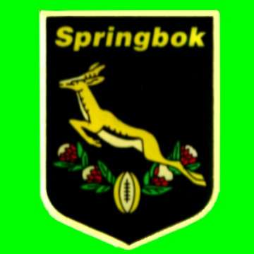 Springbok 1995 World Cup Metal Rugby Pin.