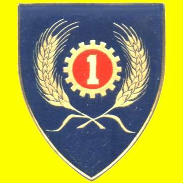1 Maintenance Unit Metal Shoulder Flash.