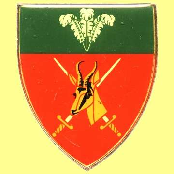 Southern Cape Command Metal Shoulder Flash.