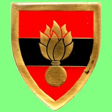 SA Engineer College - Metal Shoulder Flash.