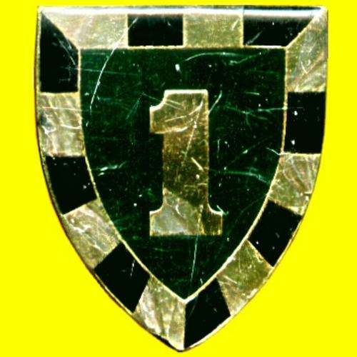 1st. SA Infantry Metal Shoulder Flash - First Type.