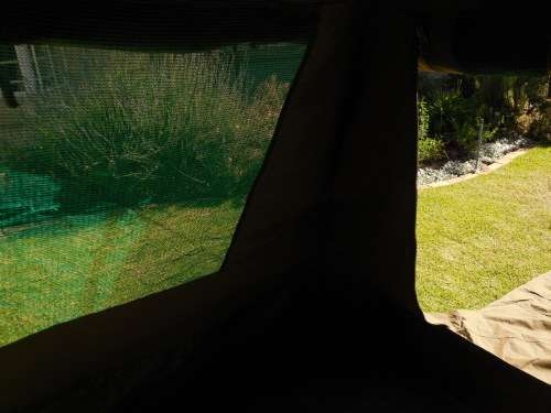 Safari Dome Tent