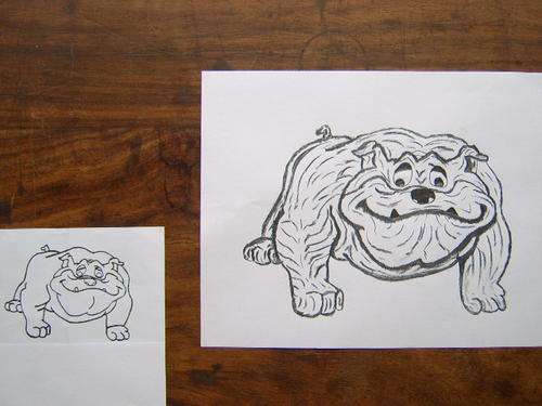 Bull dog was copied and magnified with the Wonder Art & Magnifier product.