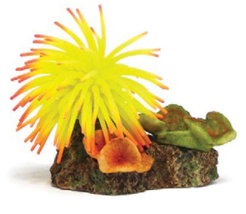 Coral Ornament