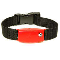PROLINE NO-BARK COLLAR - Small