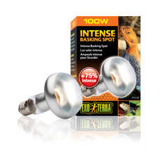 100W Exo Terra Intense Basking Spot Lamp