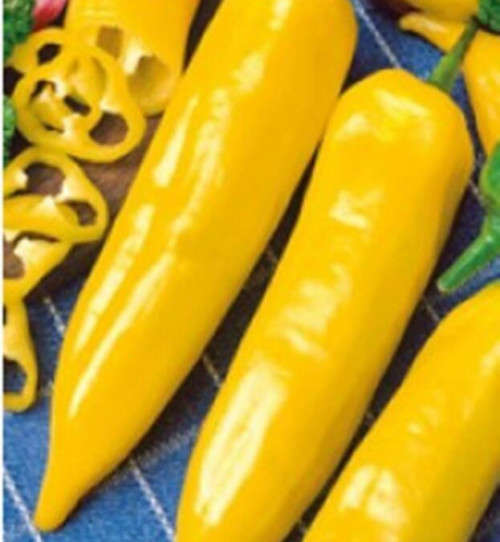 Chilli Seeds (yellow)  - 10 seeds