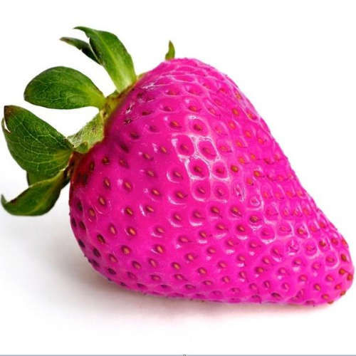 Strawberry (Rose Red) - 5 seeds