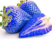 Blue Strawberry - 5 Seeds