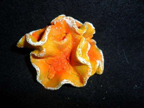 ORNAMENT MINI CORAL