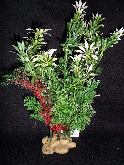 AQUARIUM PLANT